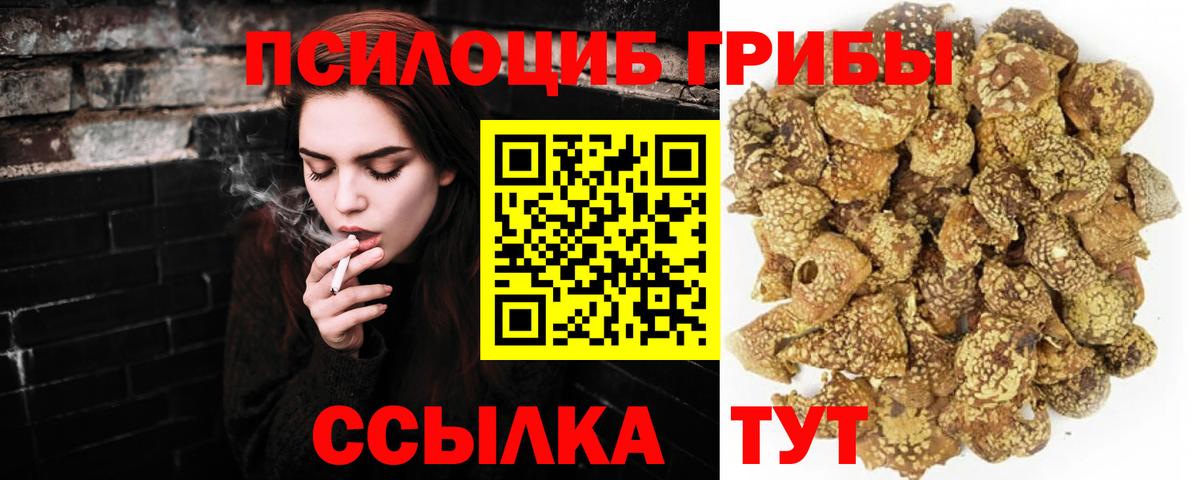 Галлюциногенные грибы Magic Shrooms  Галлюциногенные грибы Magic Shrooms  Вход с VPN  магазин продажи наркотиков  Усть-Лабинск 